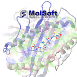 Molsoft ICM-Pro 3.9-3B Full Version Free Download