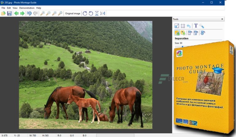 Tintguide Photo Montage Guide 2.2.12 Full Version Download 2024